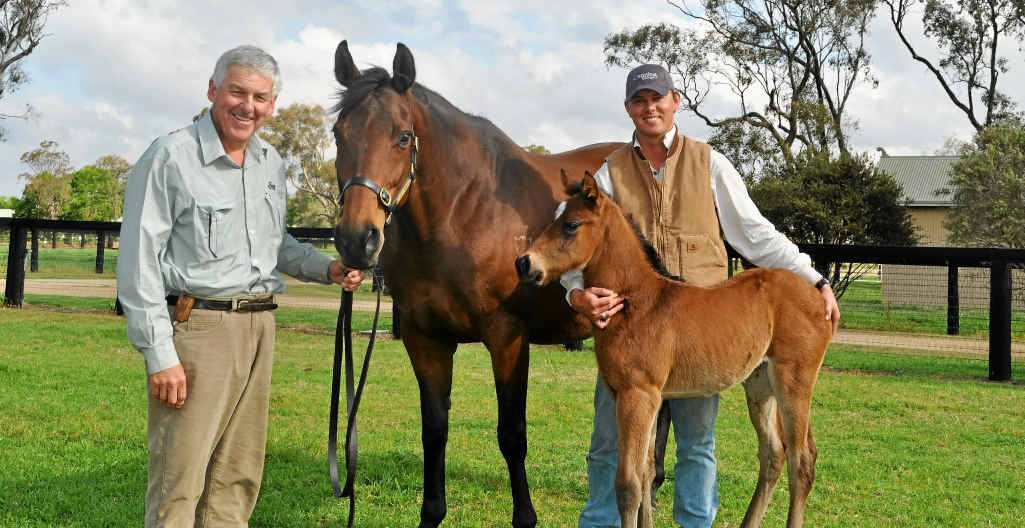 Warwick Turf Club committee member Peter Fraser and Canning Downs manager Rob Petith with the half-sister of Masked Assassin, Royal Mask and her foal By Tale of the Cat.